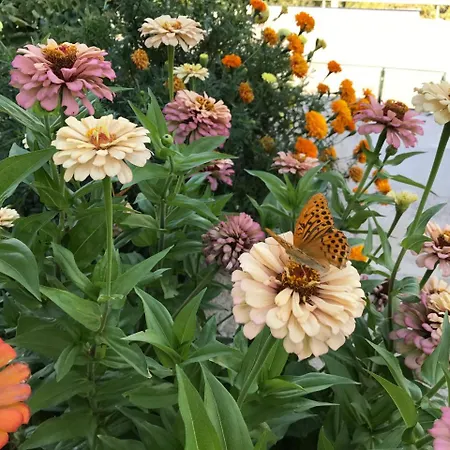 Saranda Landscape Appartement Nivice (Vlore)