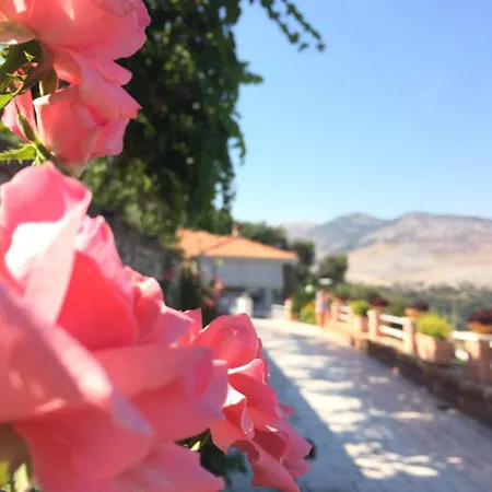 Saranda Landscape شقة