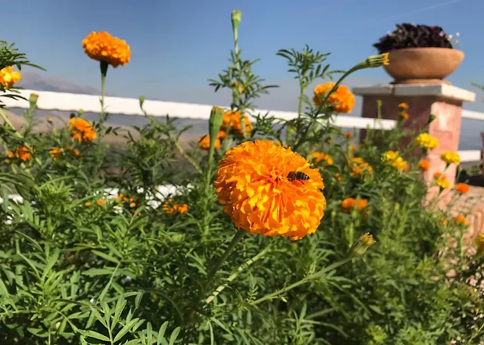 Saranda Landscape דירה Nivice (Vlore)